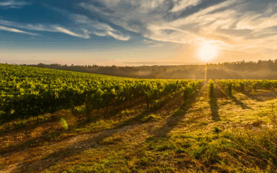 Neighbourhood Spotlight ~ Beamsville, Ontario