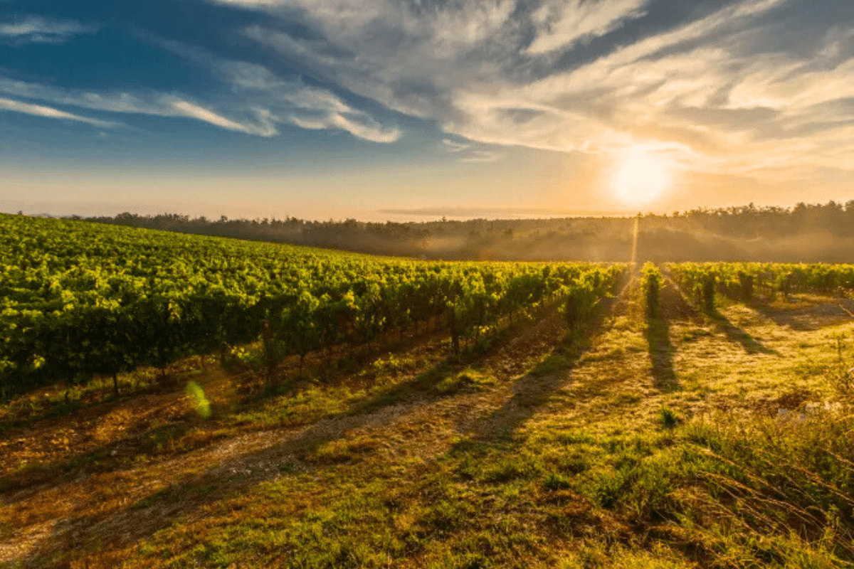 Neighbourhood Spotlight ~ Beamsville, Ontario